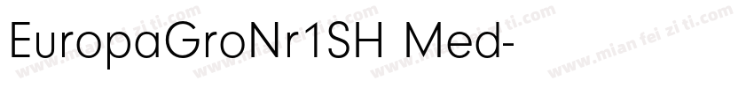 EuropaGroNr1SH Med字体转换